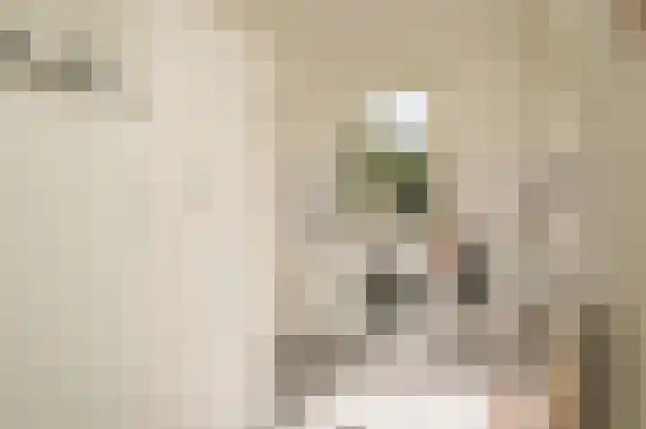 De Polenkamp 92 Horssen thumbnail 16