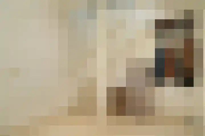 De Polenkamp 92 Horssen thumbnail 20