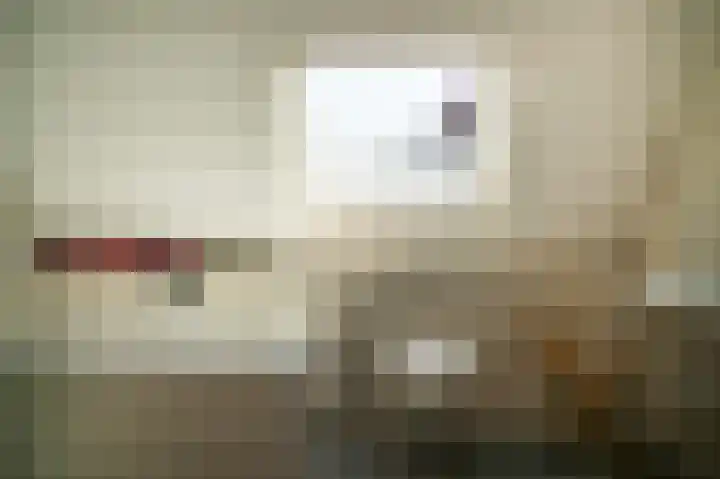 De Polenkamp 92 Horssen thumbnail 22