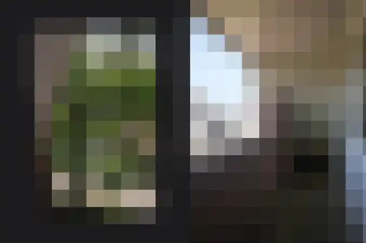 De Polenkamp 92 Horssen thumbnail 27