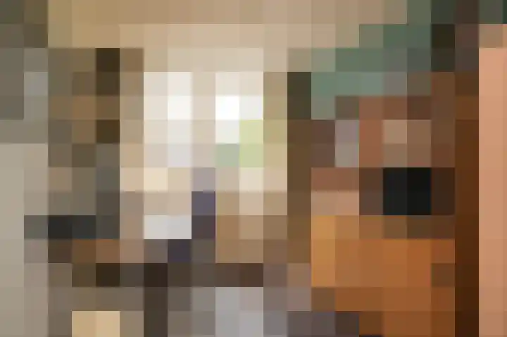 De Polenkamp 92 Horssen thumbnail 28