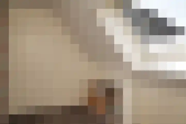 De Polenkamp 92 Horssen thumbnail 32