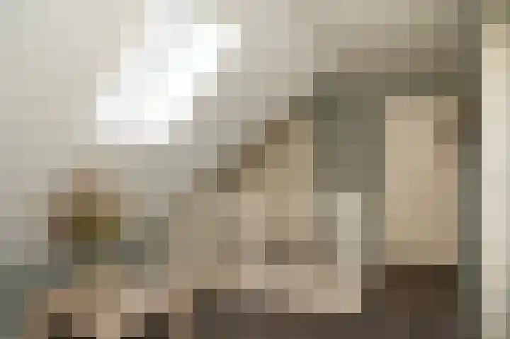 De Polenkamp 92 Horssen thumbnail 34