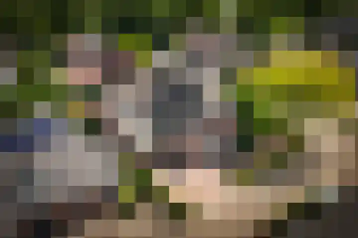 De Polenkamp 92 Horssen thumbnail 35