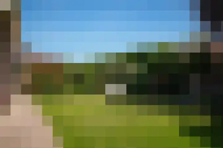 De Polenkamp 92 Horssen thumbnail 36