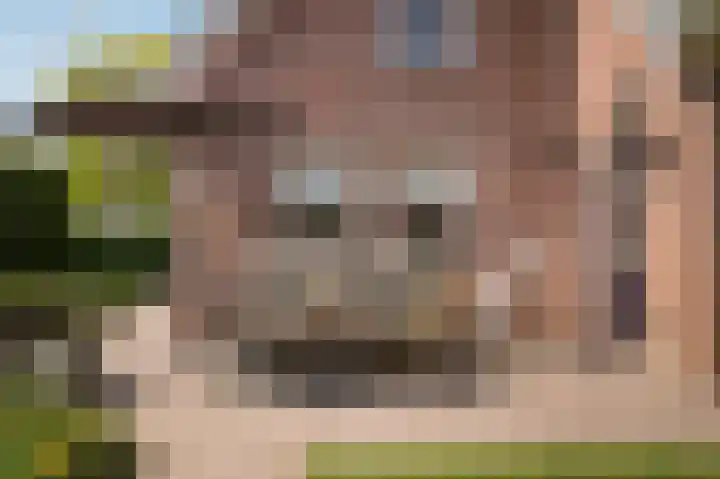 De Polenkamp 92 Horssen thumbnail 37