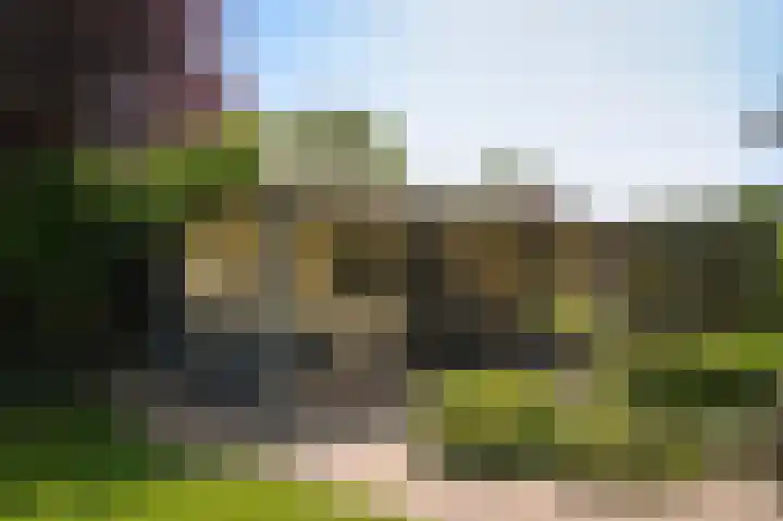 De Polenkamp 92 Horssen thumbnail 38