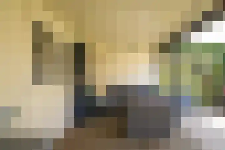 De Polenkamp 92 Horssen thumbnail 39