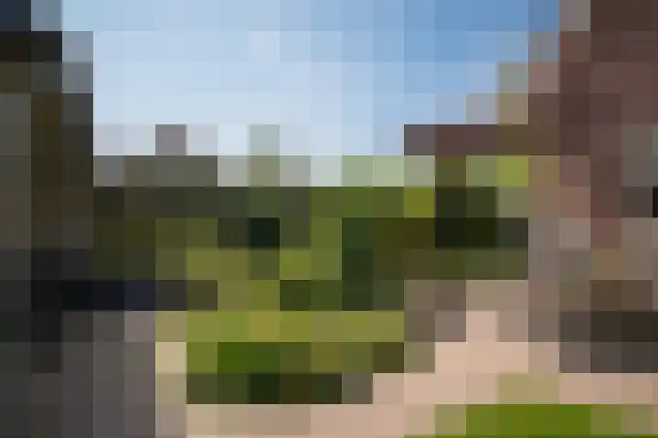 De Polenkamp 92 Horssen thumbnail 40