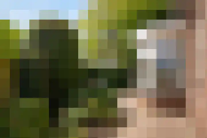 De Polenkamp 92 Horssen thumbnail 41