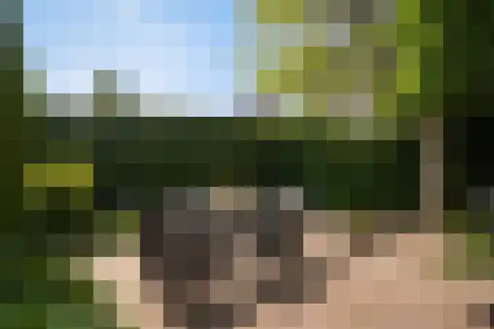 De Polenkamp 92 Horssen thumbnail 42