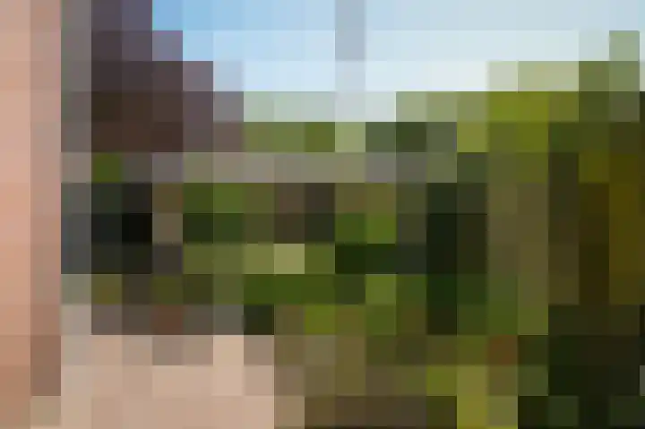 De Polenkamp 92 Horssen thumbnail 44