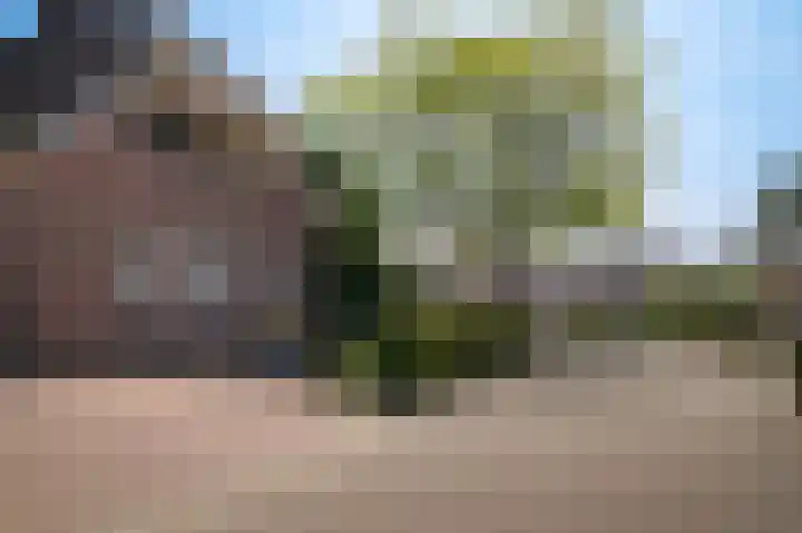 De Polenkamp 92 Horssen thumbnail 47
