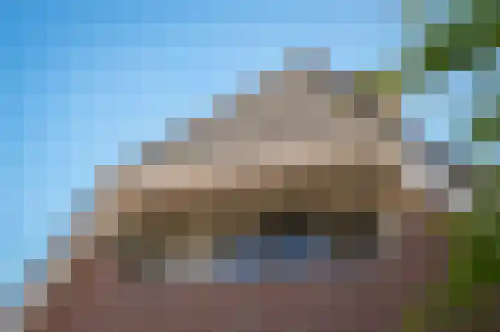 De Polenkamp 92 Horssen thumbnail 48