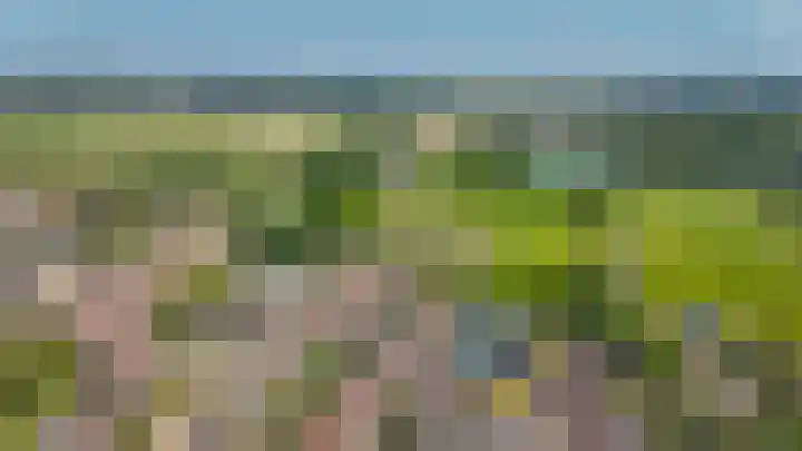De Polenkamp 92 Horssen thumbnail 51