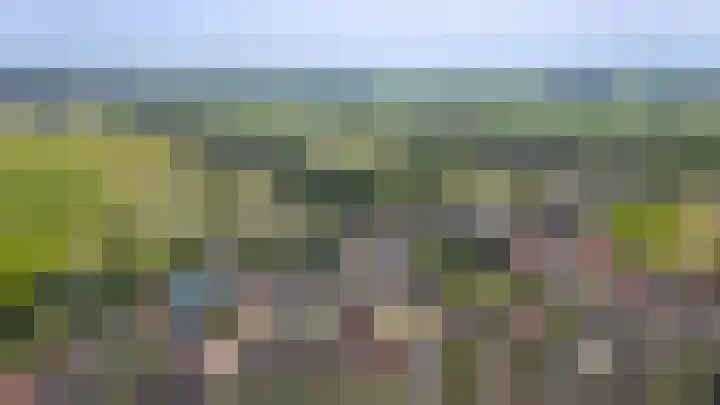 De Polenkamp 92 Horssen thumbnail 53