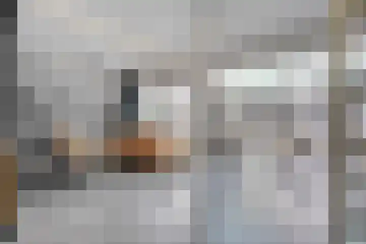 De Poll 13 Almelo thumbnail 10