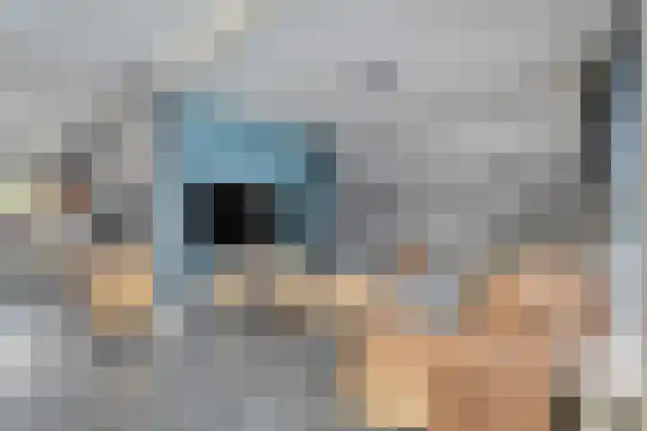 De Poll 13 Almelo thumbnail 11