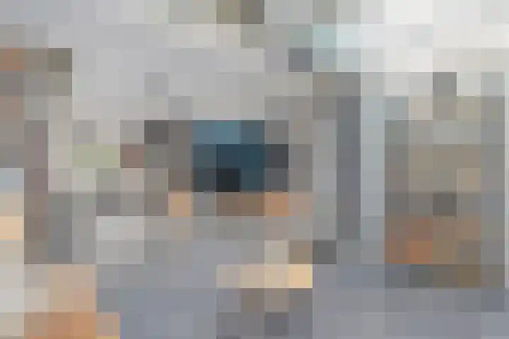 De Poll 13 Almelo thumbnail 13