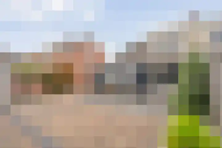 De Poll 13 Almelo thumbnail 24
