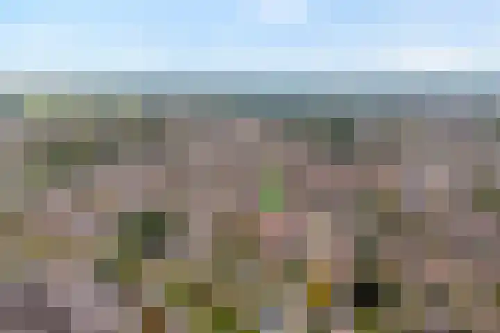 De Poll 13 Almelo thumbnail 26