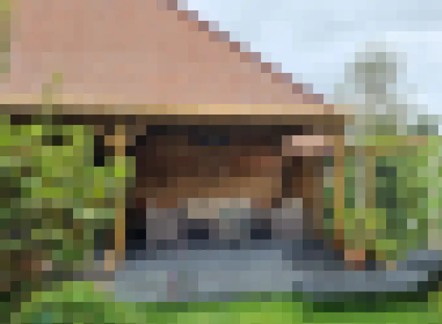 De Poll 8 Almelo thumbnail 25