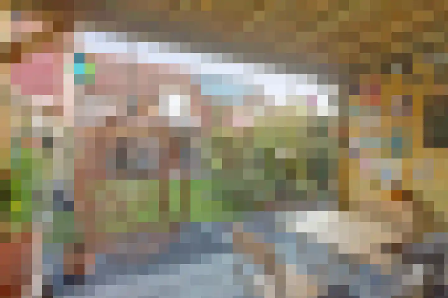 De Poll 8 Almelo thumbnail 28