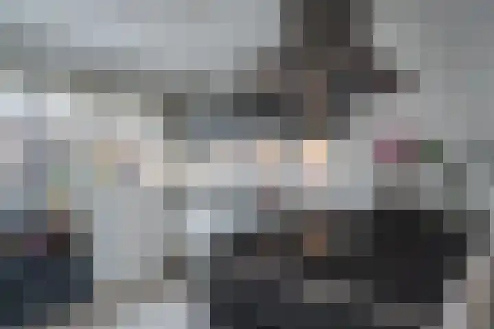 De Pollen 103 Uitgeest thumbnail 12