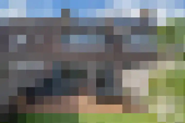 De Pollen 103 Uitgeest thumbnail 16