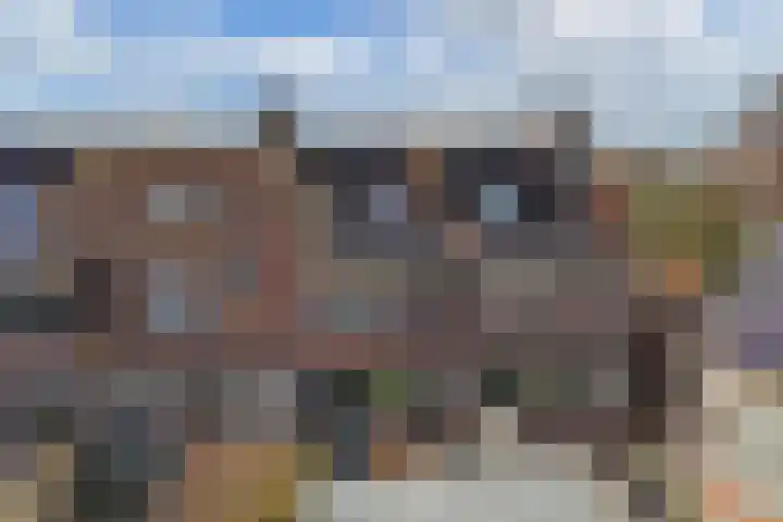 De Pollen 103 Uitgeest thumbnail 32