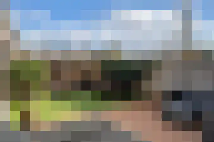 De Pollen 103 Uitgeest thumbnail 36