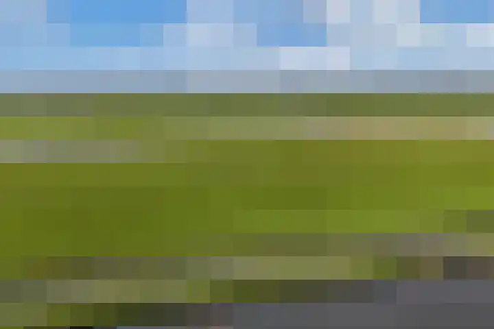 De Pollen 103 Uitgeest thumbnail 39