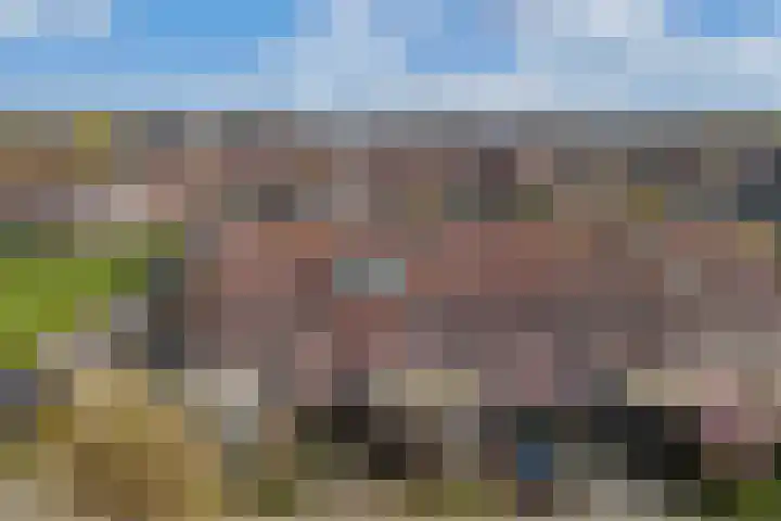 De Pollen 103 Uitgeest thumbnail 6