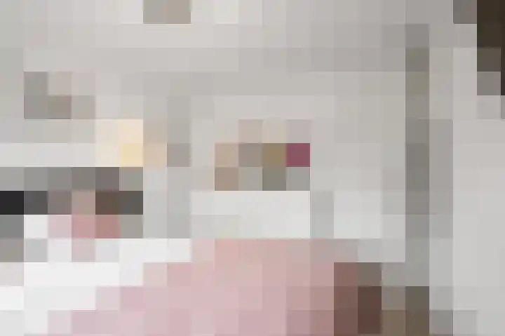 De Pollen 107 Uitgeest thumbnail 17