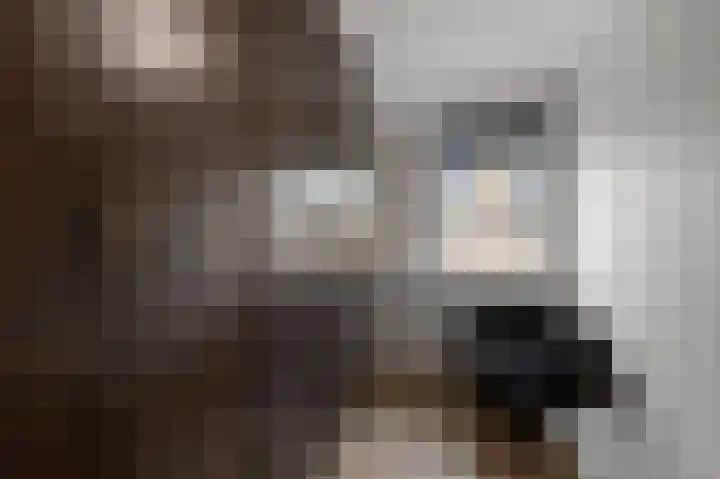 De Pollen 107 Uitgeest thumbnail 18