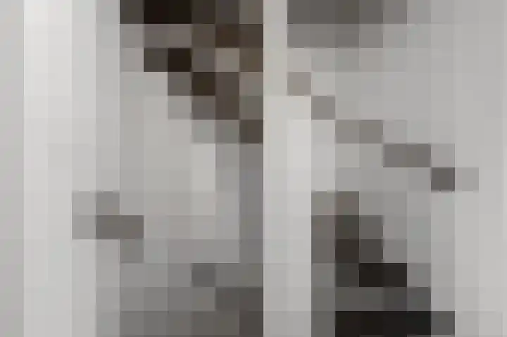 De Pollen 107 Uitgeest thumbnail 19