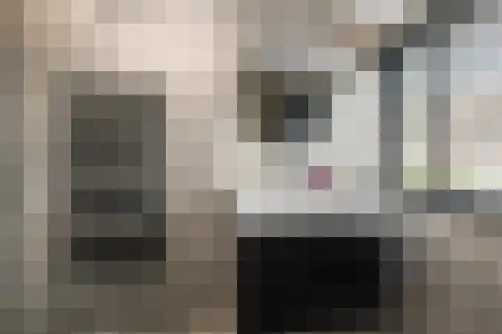 De Pollen 107 Uitgeest thumbnail 23