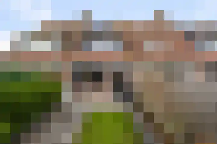 De Pollen 107 Uitgeest thumbnail 31