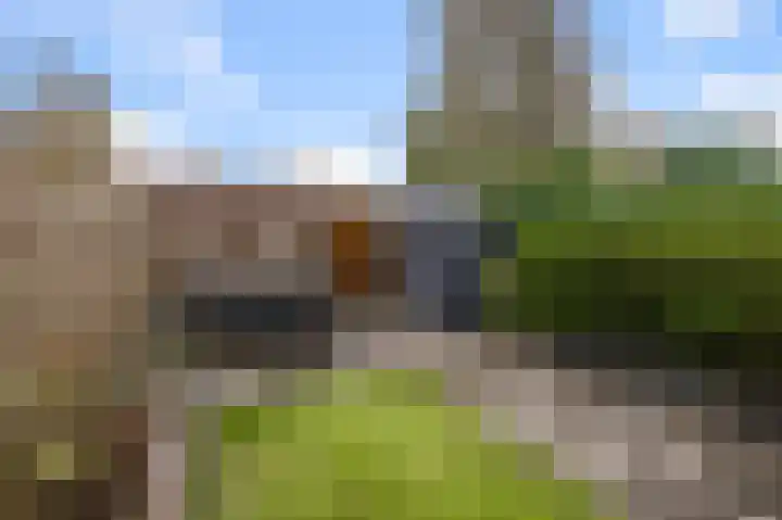 De Pollen 107 Uitgeest thumbnail 32