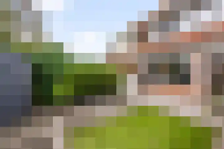 De Pollen 107 Uitgeest thumbnail 35