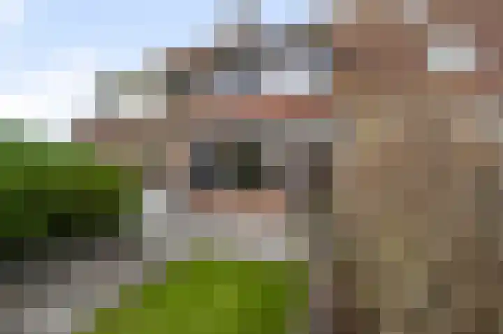 De Pollen 107 Uitgeest thumbnail 37