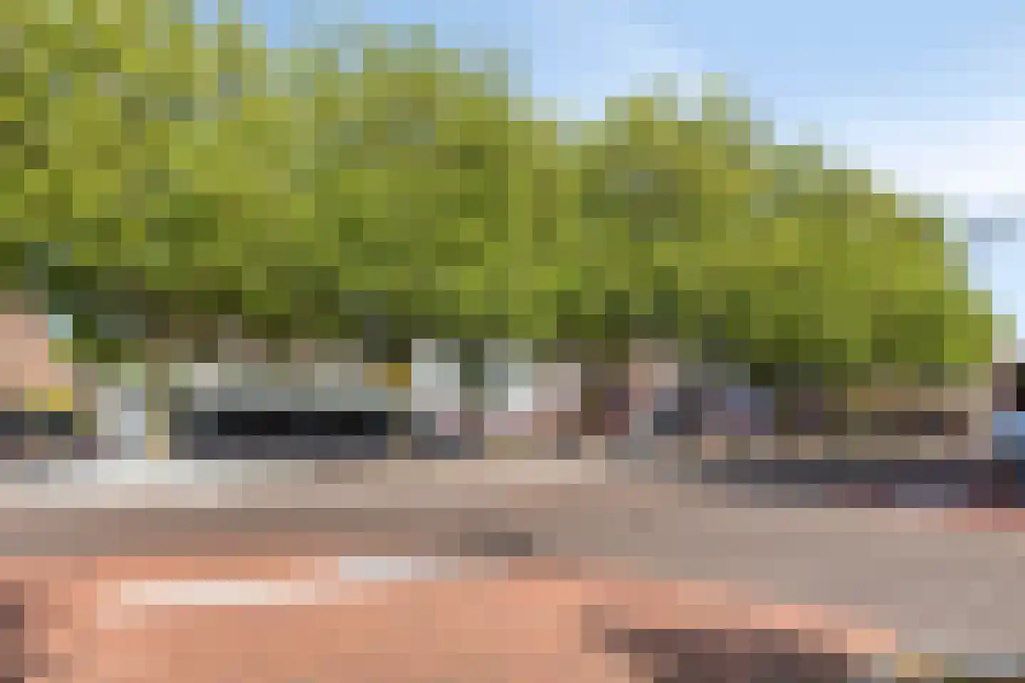 de Pollenbrink 1 17 Bemmel thumbnail 25
