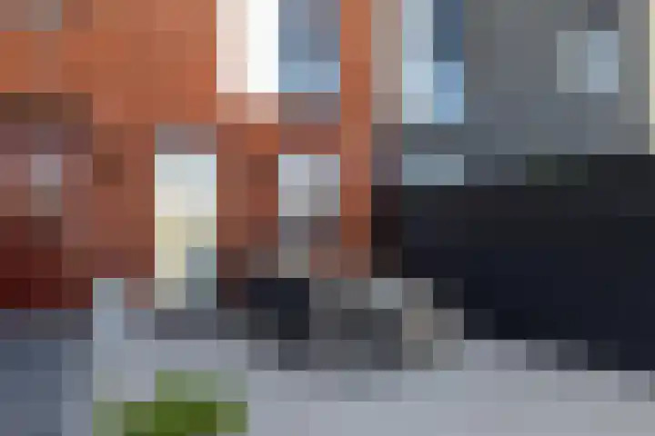 De Pols 22 Leeuwarden thumbnail 12