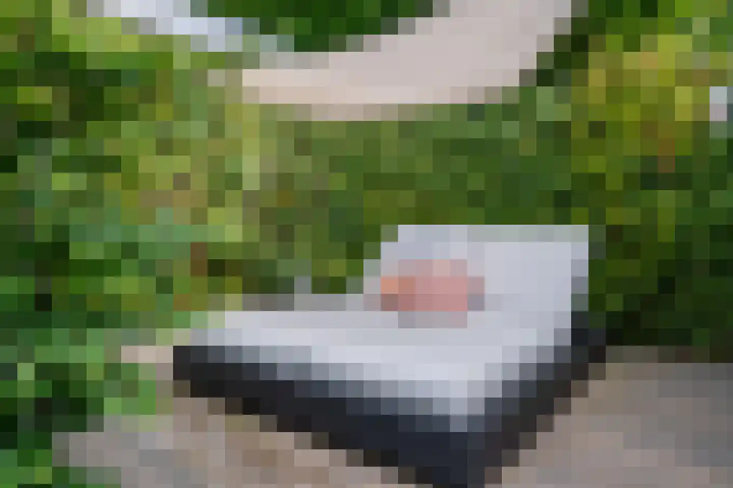 De Pomerio 4 Bocholtz thumbnail 33