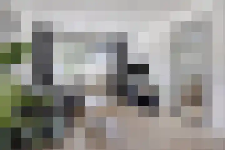 De Pompenmaker 27 Veldhoven thumbnail 10
