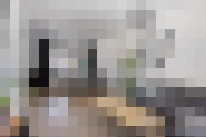 De Pompenmaker 27 Veldhoven thumbnail 13