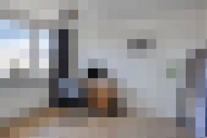 De Pompenmaker 27 Veldhoven thumbnail 26