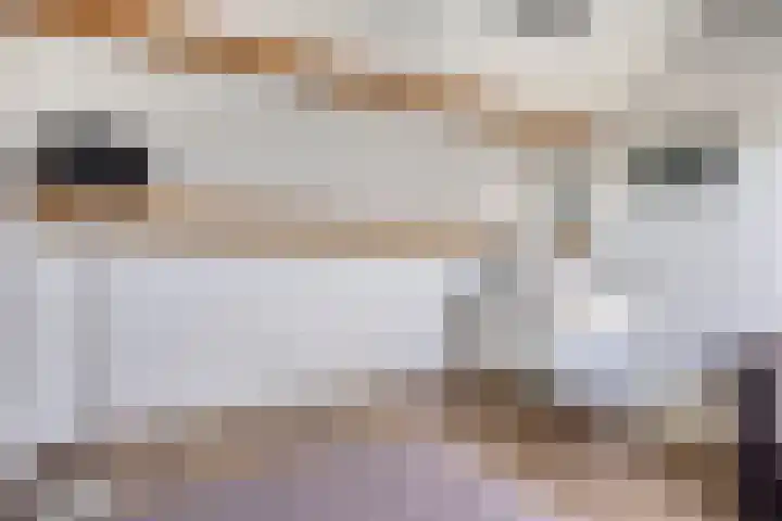 De Pompenmaker 27 Veldhoven thumbnail 32