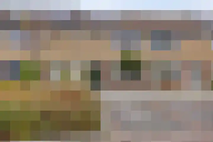 De Pompenmaker 27 Veldhoven thumbnail 36