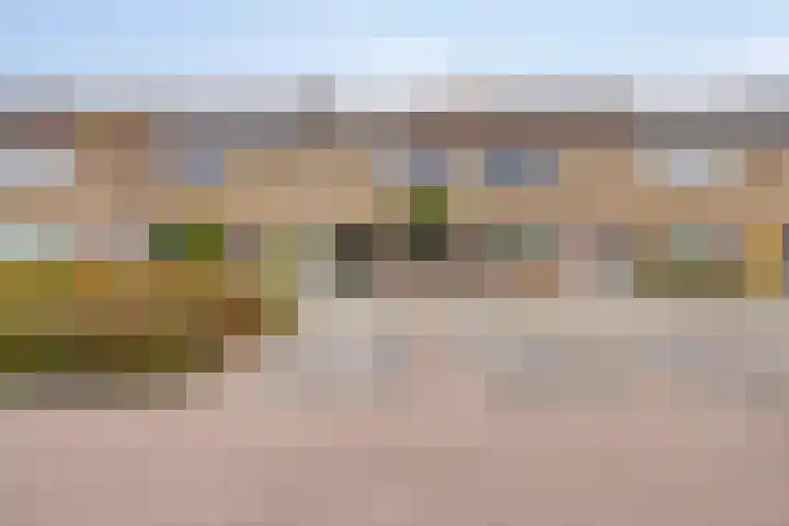 De Pompenmaker 27 Veldhoven thumbnail 37